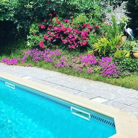 Maison Bassin Arcachon 170m2 Avec Piscine Villa Gujan-Mestras