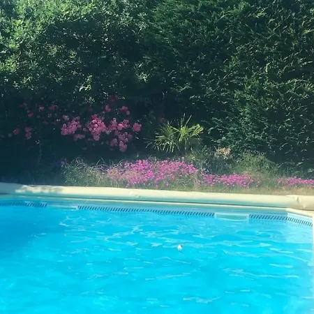 Maison Bassin Arcachon 170m2 Avec Piscine Villa