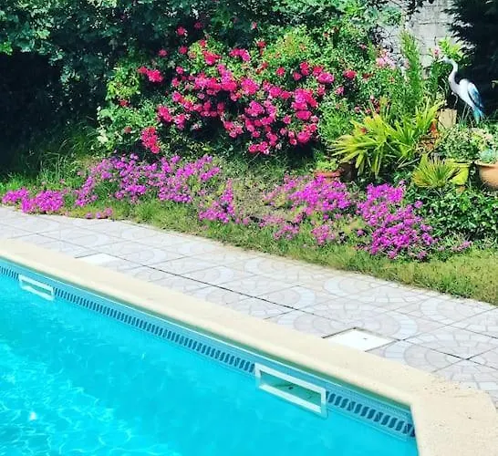 Maison Bassin Arcachon 170m2 Avec Piscine Villa Gujan-Mestras